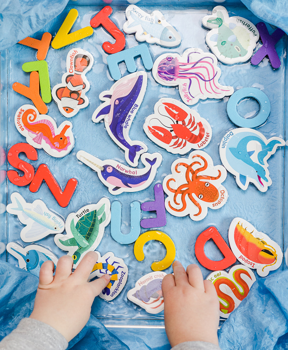 Curious Columbus Magnetic Sea Creatures and Letters – 52 Piece Alphabet & Ocean Magnet Set