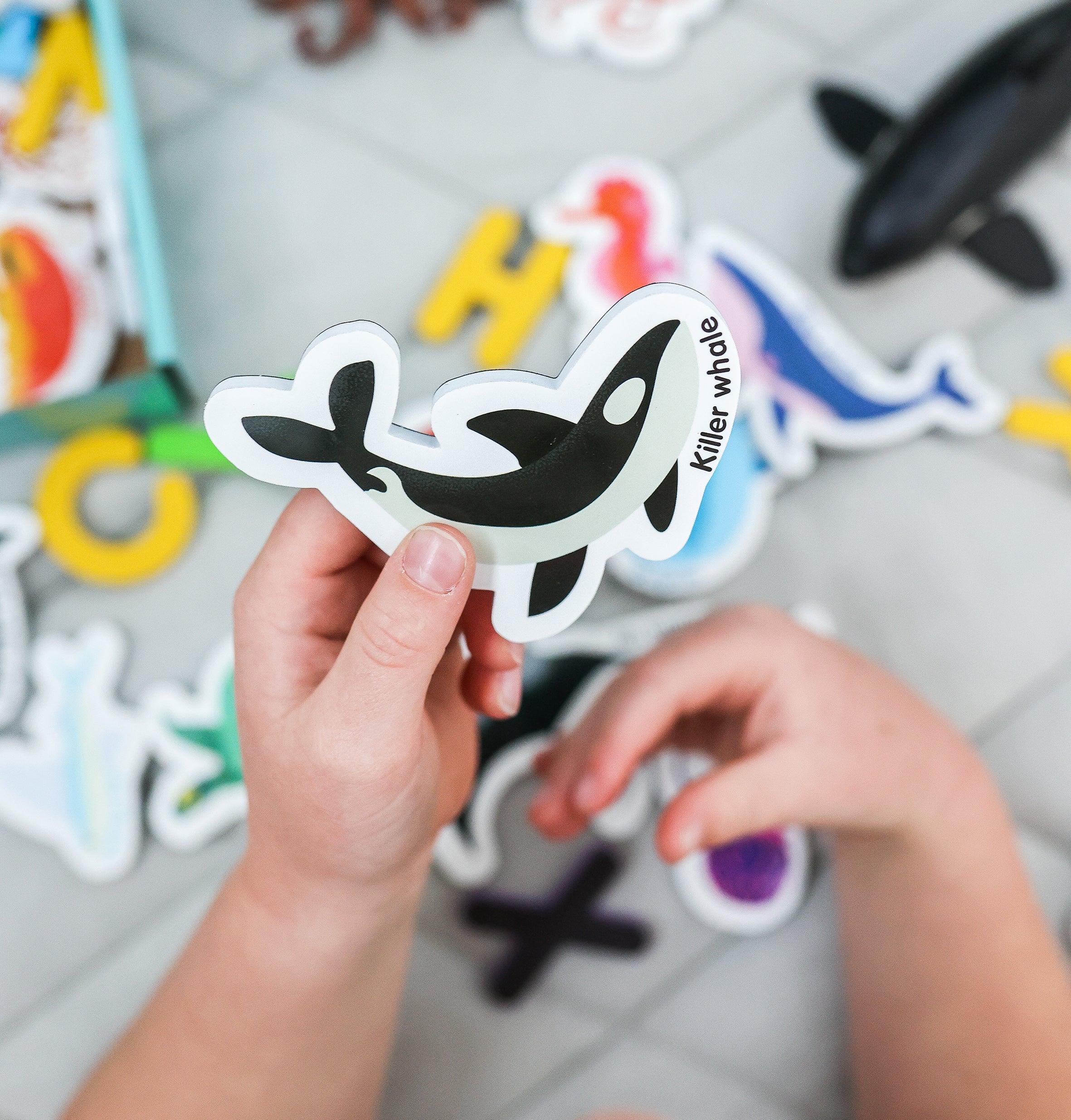 Magnetic Sea Creatures and Letters