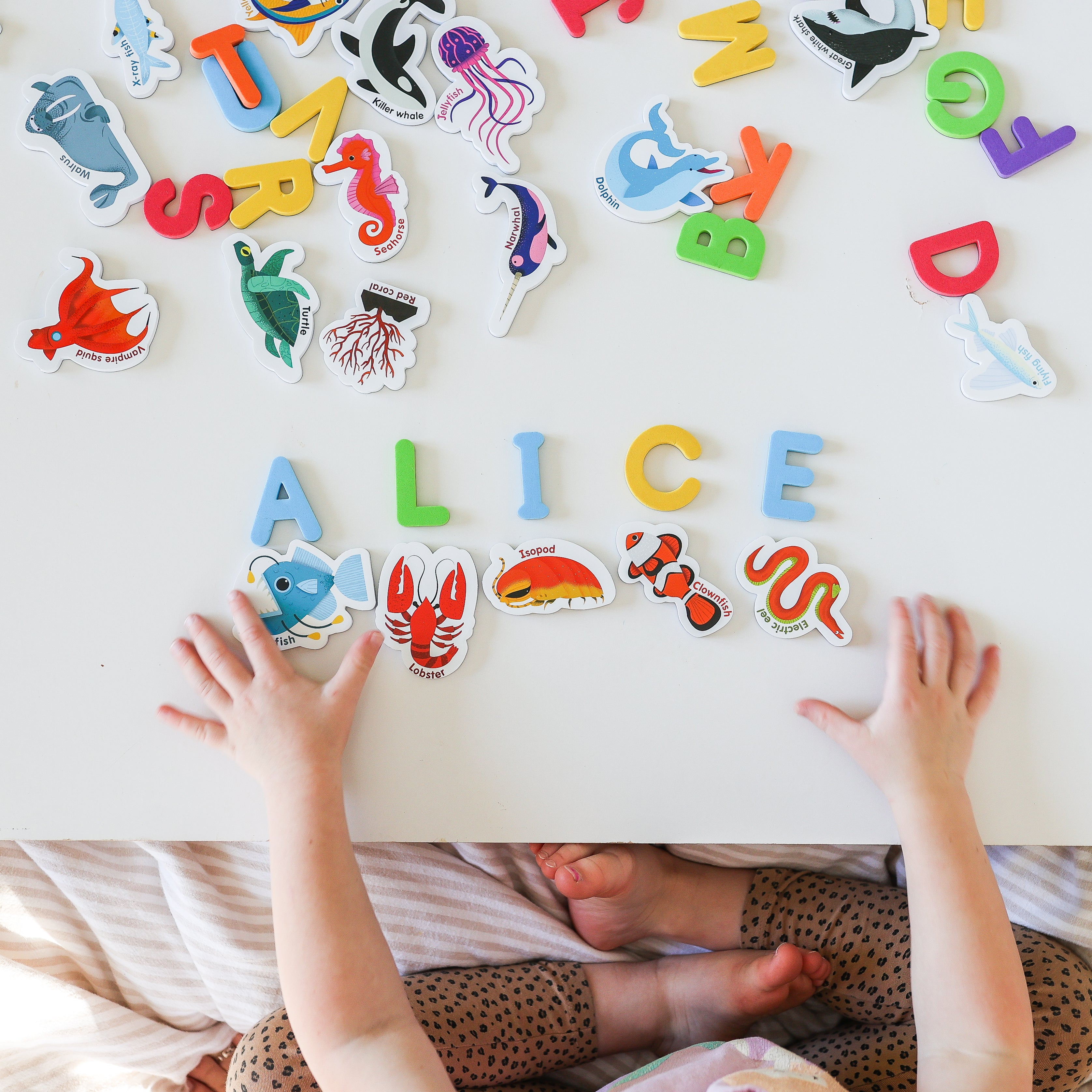 Magnetic Sea Creatures and Letters