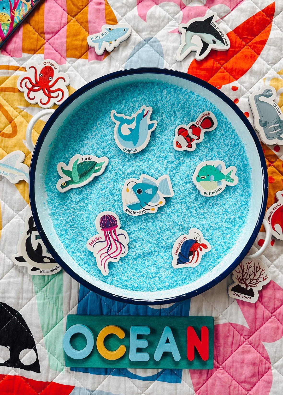 Curious Columbus Magnetic Sea Creatures and Letters – 52 Piece Alphabet & Ocean Magnet Set
