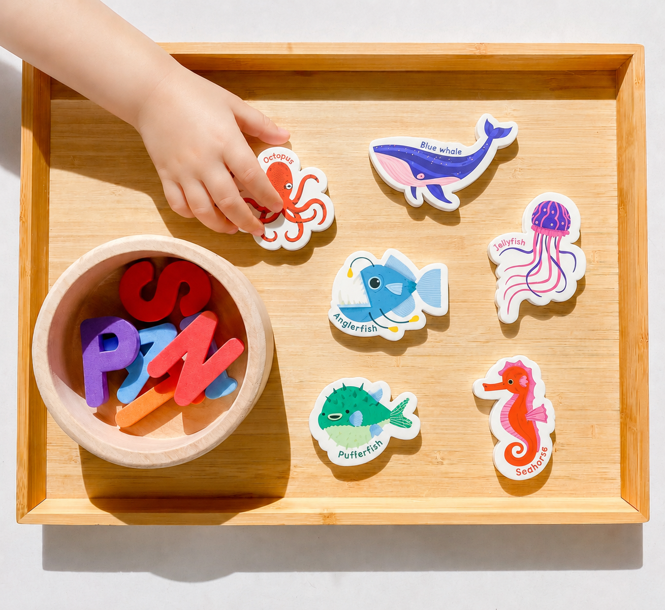 Curious Columbus Magnetic Sea Creatures and Letters – 52 Piece Alphabet & Ocean Magnet Set