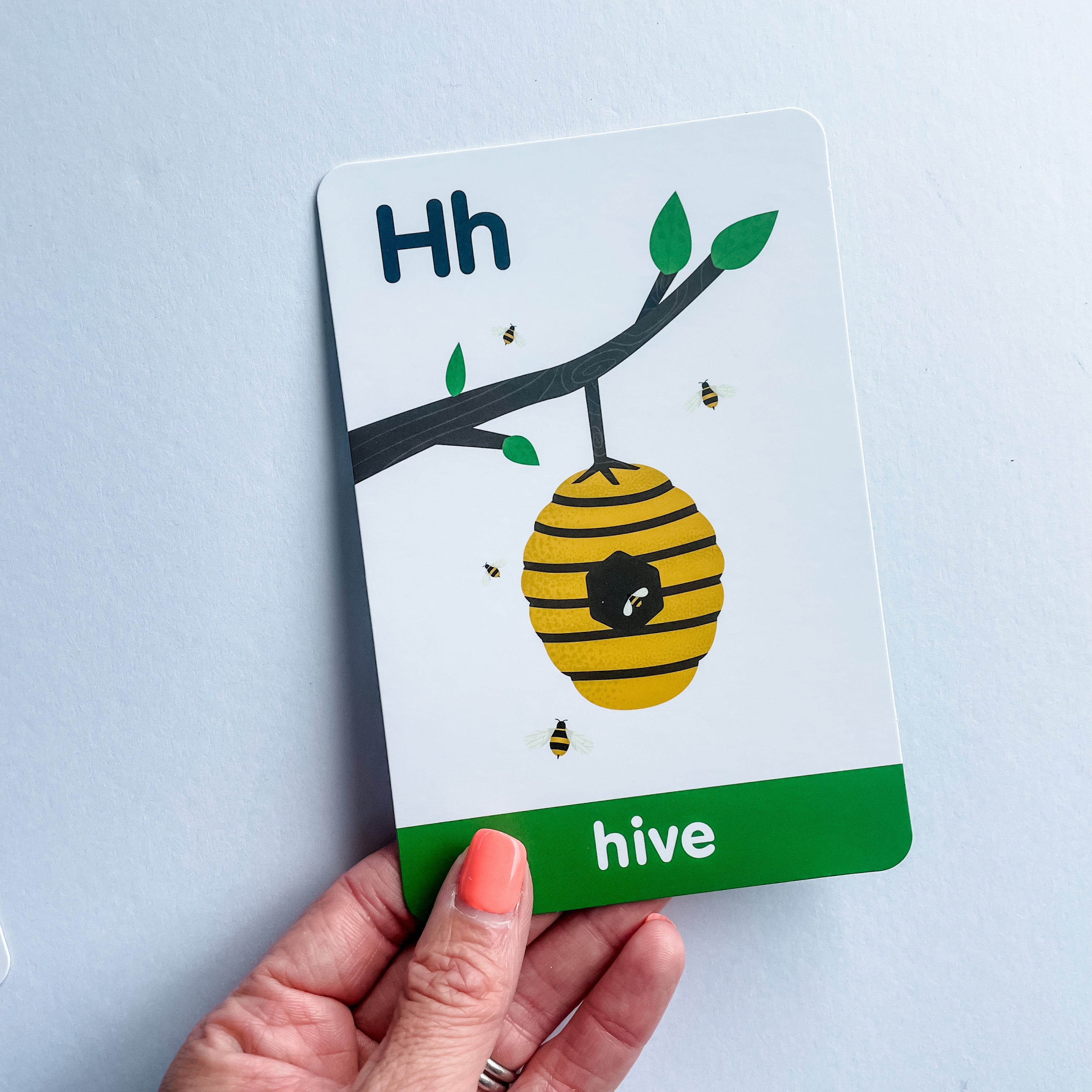 Curious Columbus A-Z Lowercase flashcards