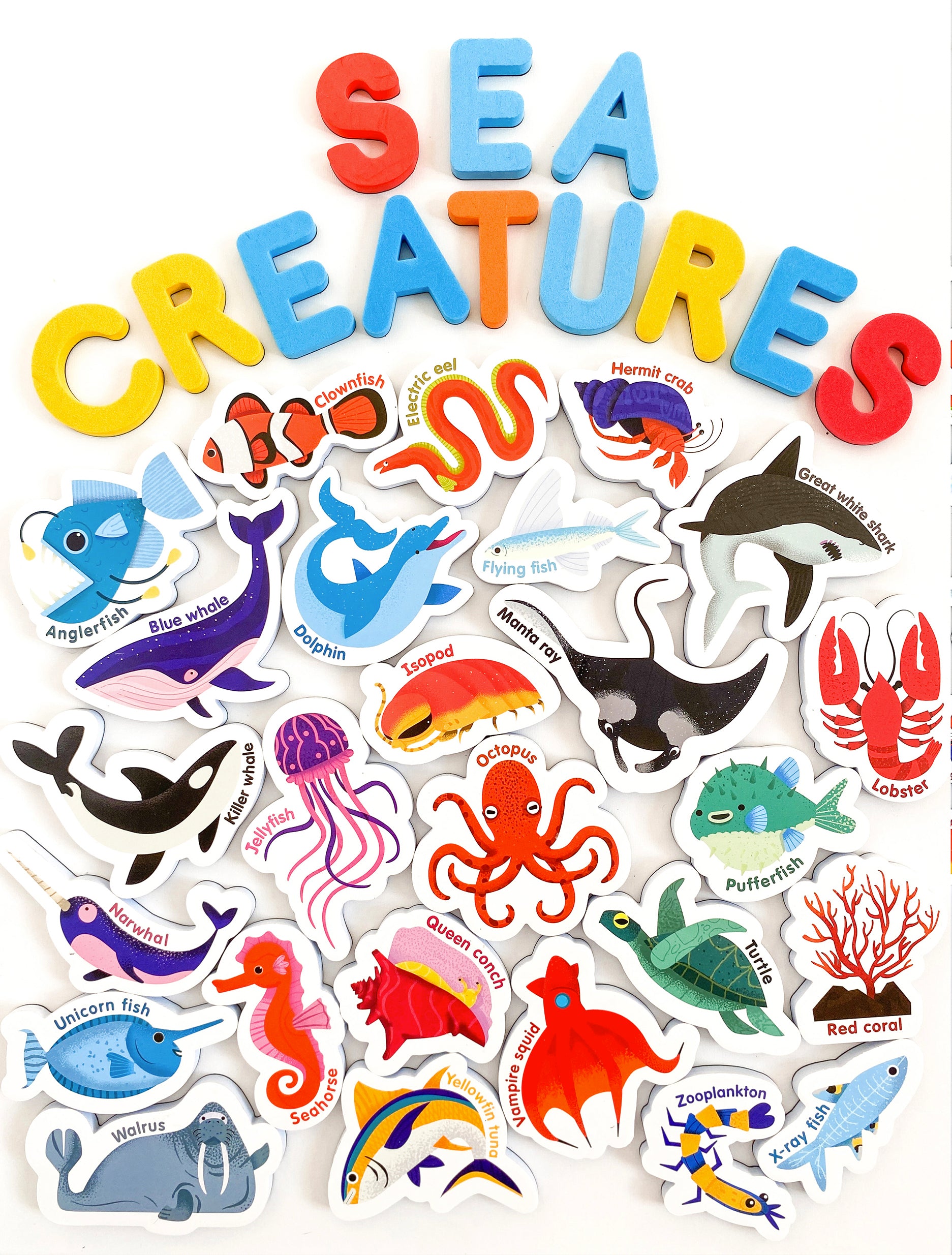 Curious Columbus Magnetic Sea Creatures and Letters – 52 Piece Alphabet & Ocean Magnet Set
