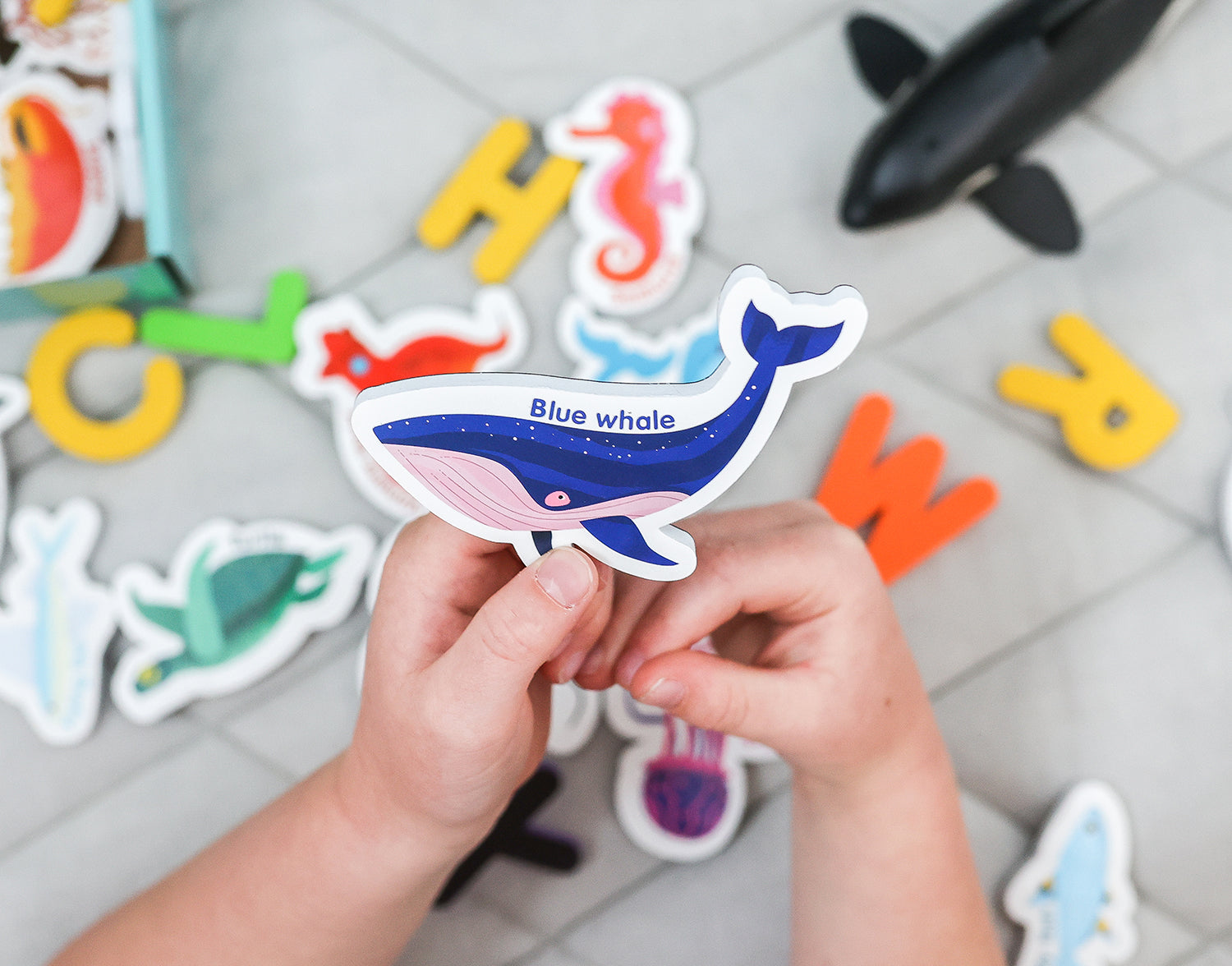 Magnetic Sea Creatures and Letters